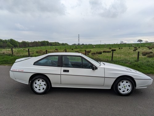 1985 Lotus Excel