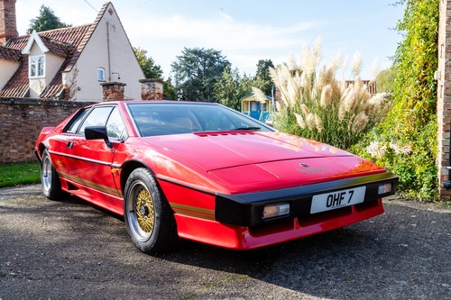 1982 ESPRIT TURBO - FULLY DOCUMENTED RESTORATION - BEST AVAILABLE For Sale