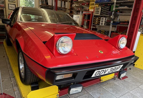 1975 Lotus Elite (Type 75) Zu verkaufen durch Auktion