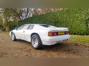 1988 Lotus Esprit X180 For Sale (picture 4 of 5)