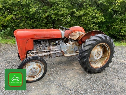MASSEY FERGUSON 35 RARE MODEL PETROL/TVO 1958 TRACTOR SEEVID Kaufen Bei