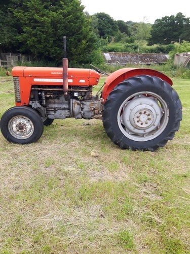 1964 Massey Ferguson 65 multi power