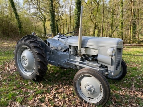 1952 Massey Ferguson TE20