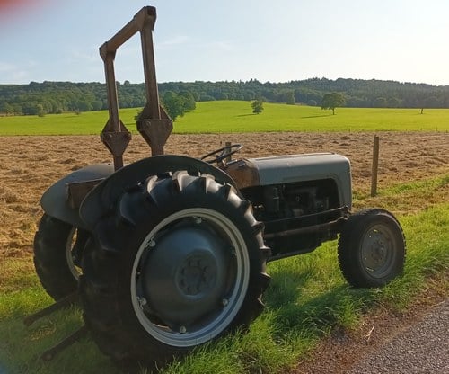 1957 Massey Ferguson FE35 Grey Gold road registered