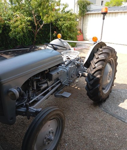 1957 MASSEY FERGUSON TEA 20 Kaufen Bei