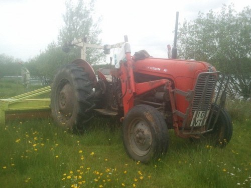 1959 Massey Ferguson 35 3 cylinder For Sale