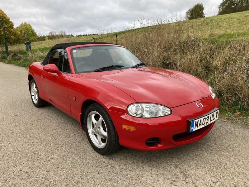 Truly Unique Future Classic