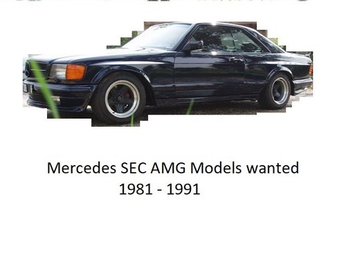 1982 Wanted: Mercedes Benz 500 SEC AMG and 560SEC