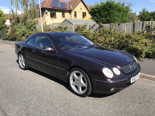 1999 Mercedes CL500 in Rare Almandine Black Low Mileage For Sale