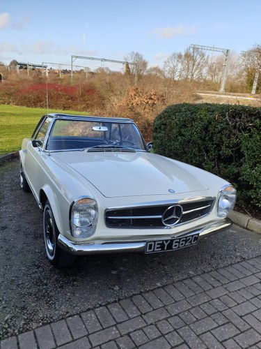 1965 Mercedes SL230 For Sale