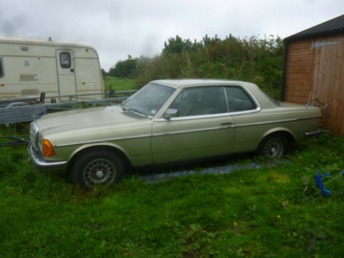 1981  SOLD