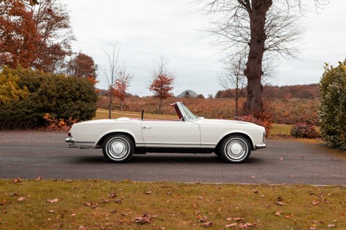 1966 MERCEDES 230SL LHD AUTO/PS 'BEST IN SHOW' WINNER For Sale