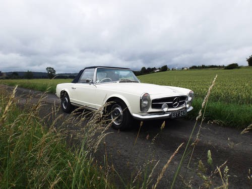 1964 Mercedes 230 SL In vendita all'asta