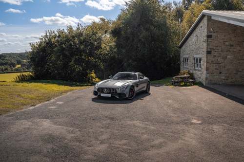 2017 AMG GT Premium In vendita