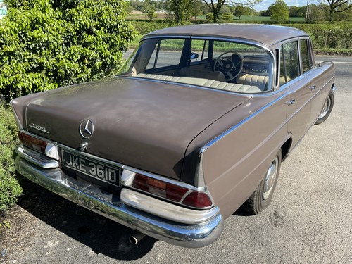 1966 Mercedes 230 - 5