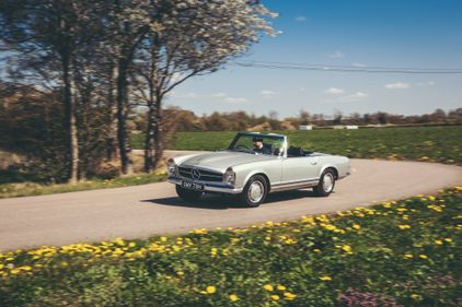 Picture of 1969 Mercedes-Benz W113 280SL Silver Grey (180)