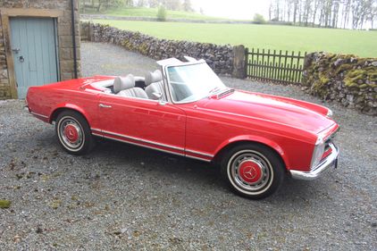 WANTED: Mercedes SL 230/250/280