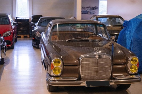 1966 Mercedes 250 - 6