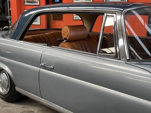 1966 Mercedes 250 - 3