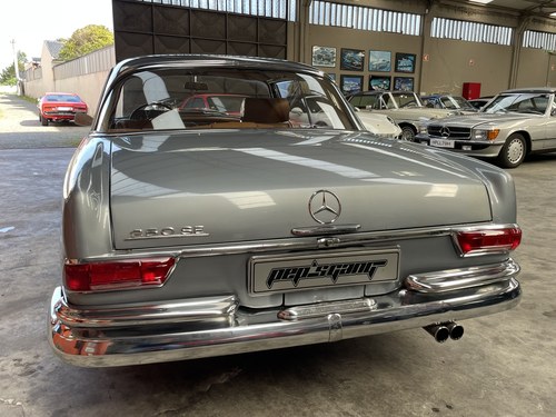 1966 Mercedes 250 - 5