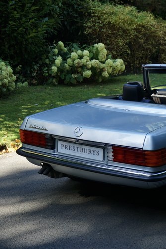 1985 Mercedes SL Class R107 500 SL / Walnut Burl Veneer