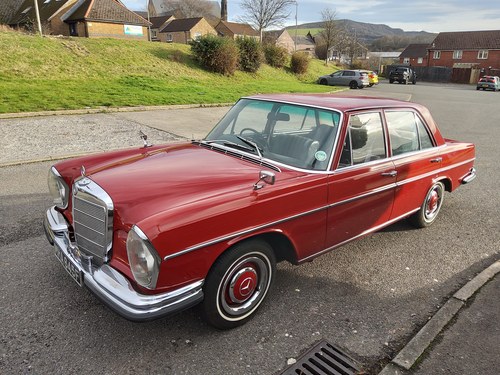 1967 Mercedes 250 W114 250