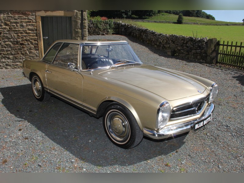 WANTED: Mercedes SL Class W113 (1963 - 1971) 230/250/280