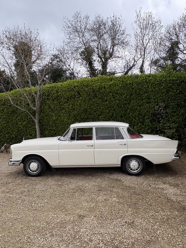 1966 Mercedes 230 W110 230