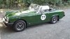 Mg midget 1977 rubber bumpers For Sale