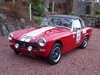 1971 Rally Prepared Midget For Sale