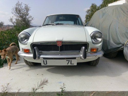 MGB GT 1973 1800cc 69000 miles 1000s spent For Sale