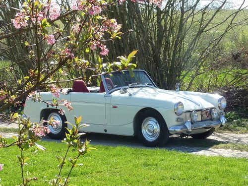 1961 MG Midget MK1 Chassis 1564 For Sale