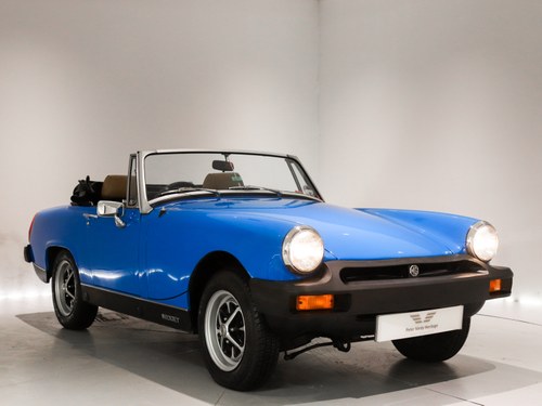 1981 Wonderful Example VENDUTO