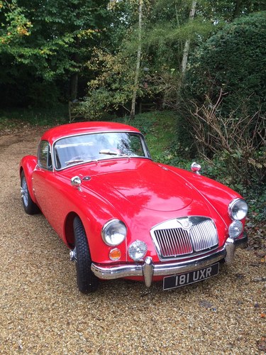 1959 Mga mki 1600 coupe  - excellent condition, low mileage For Sale