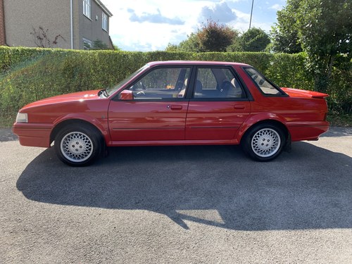 1990 MG Montego Kaufen Bei