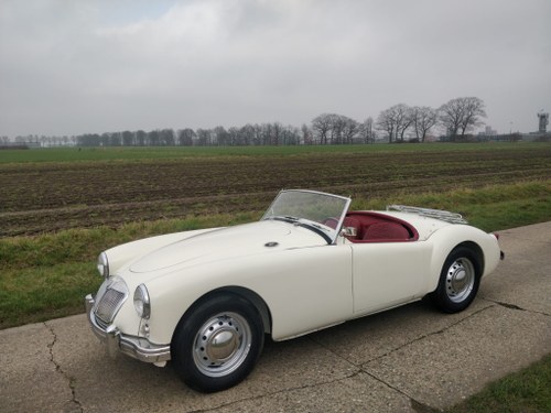 1957 MGA '57 LHD Kaufen Bei