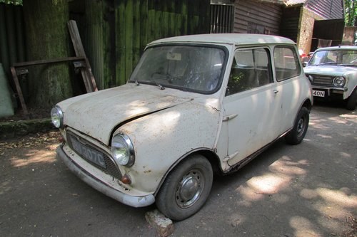 1965 Mini Mk1 VENDUTO