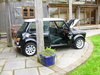 1998 Outstanding Cooper LE 1 of 100 Ever Made  For Sale