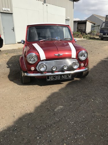 1992 Fire blade mini For Sale