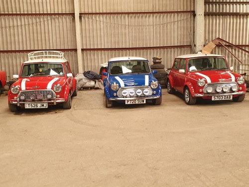 1998 Mini Cooper Sportspack - Selection of 3 For Sale