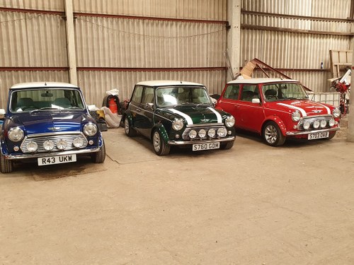 1998 Mini Cooper Sportspack - Selection of 3 For Sale