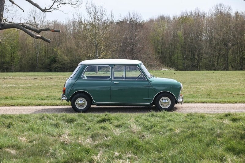 1965 Mini Cooper - 4