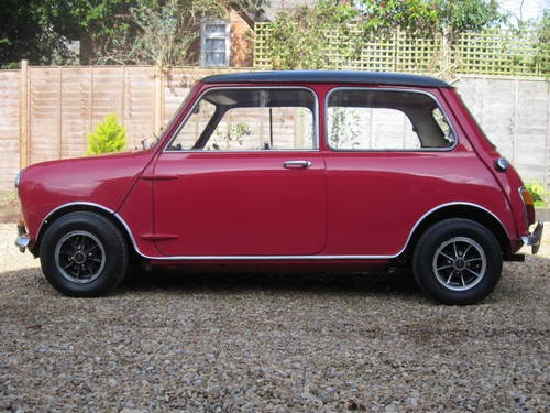 Mini / British Classic Cars wanted