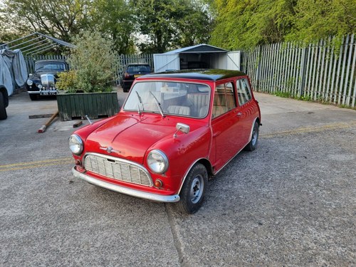 1960 Morris mini mk1 850 Kaufen Bei