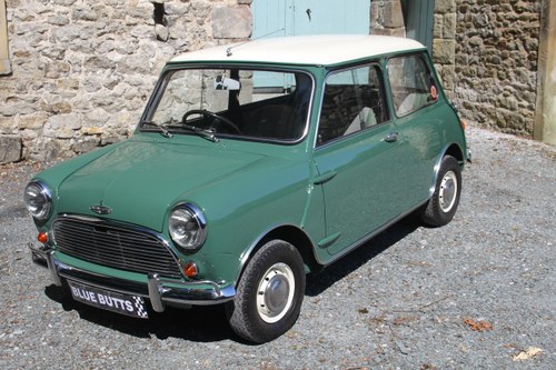 WANTED: Mini Cooper/Clubman/1275GT