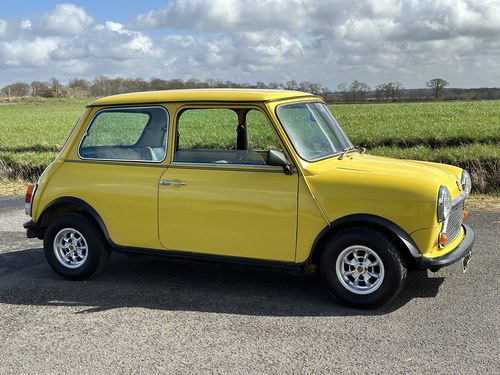 1981 Classic Mini HL For Sale