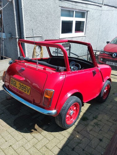 1979 Mini Shorty