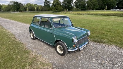 Mini Cooper MK1 998 matching numbers fully restored 1964