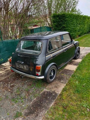 AUSTIN Mini Twinnings - 1992 For Sale