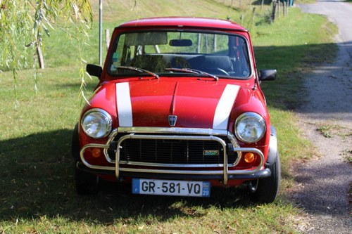 1991 Mini Classic Traveller For Sale
